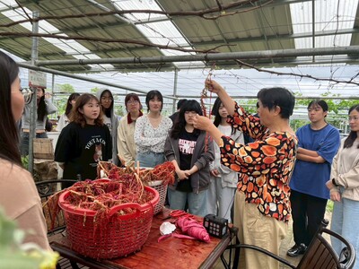 113-2學期鄉村旅遊：櫻之田野養生休閒農莊